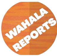 Wahala Reports