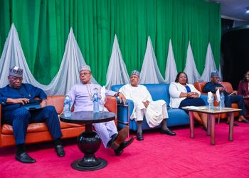 FG Hails Stakeholder DSO Breakthrough, Set For Launch Tomorrow