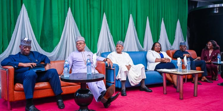 FG Hails Stakeholder DSO Breakthrough, Set For Launch Tomorrow