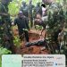 Military Raids Lead to Arrest of Notorious Gang Members, Recovery of Stolen Weapons
