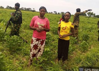 Troops Rescue Kidnapped Victims, Recover 94 Rustled Livestock In Kaduna, Kano States