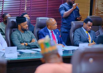 FG Inaugurates Steering Committee to Drive Digital Health Transformation
