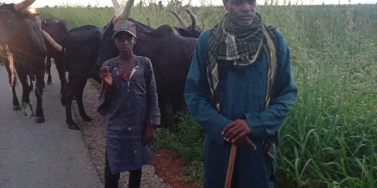 TROOPS FOIL TERRORIST ATTACKS, RESCUE 23 KIDNAPPED VICTIMS, ARREST SUSPECTED LAKURAWA MEMBERS IN SOKOTO STATE.