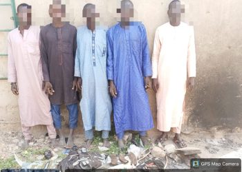 Troops Neutralises Six Terrorists, Arrests 11 Suspected Collaborators In Borno