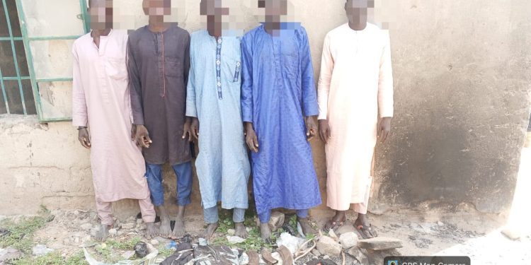 Troops Neutralises Six Terrorists, Arrests 11 Suspected Collaborators In Borno